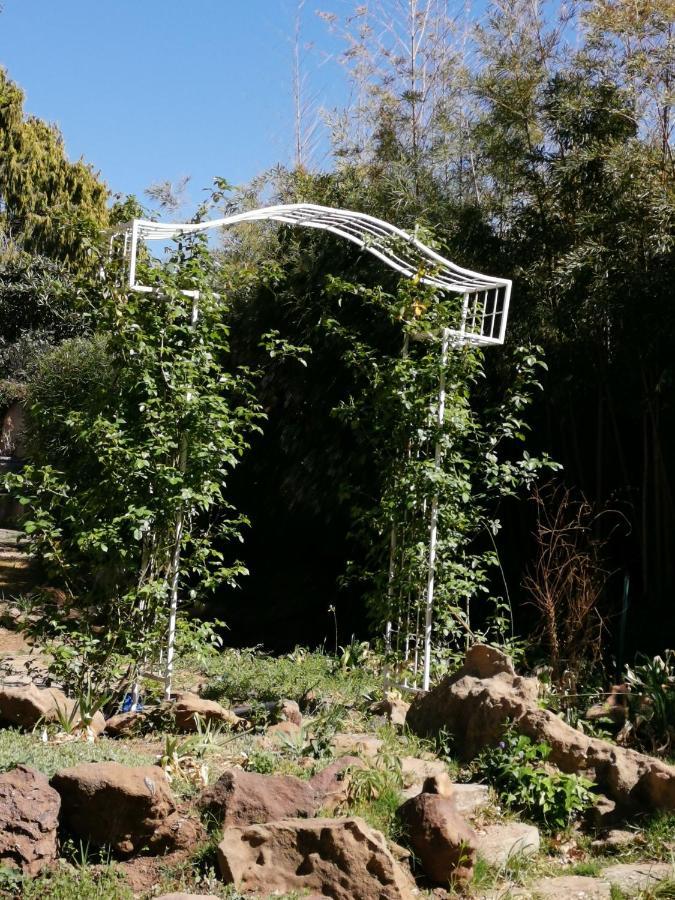 Lucolo Palace B&B Aliwal North Luaran gambar